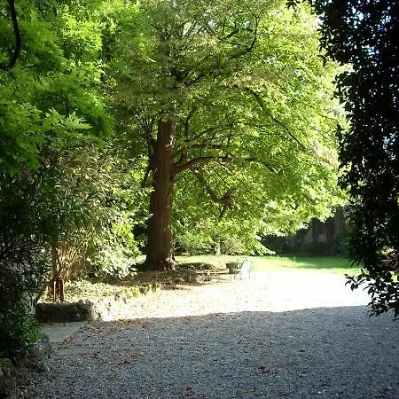 Tala