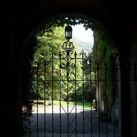 Tala Canzo